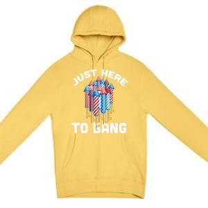 Just Here To Bang 4th Of July Fireworks Funny Fourth Of July Cute Gift Premium Pullover Hoodie