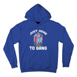 Just Here To Bang 4th Of July Fireworks Funny Fourth Of July Cute Gift Hoodie