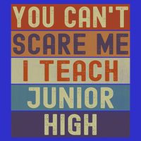Junior High Teacher You Cant Scare Me I Teach Vintage Retro Meaningful Gift Long Sleeve Shirt