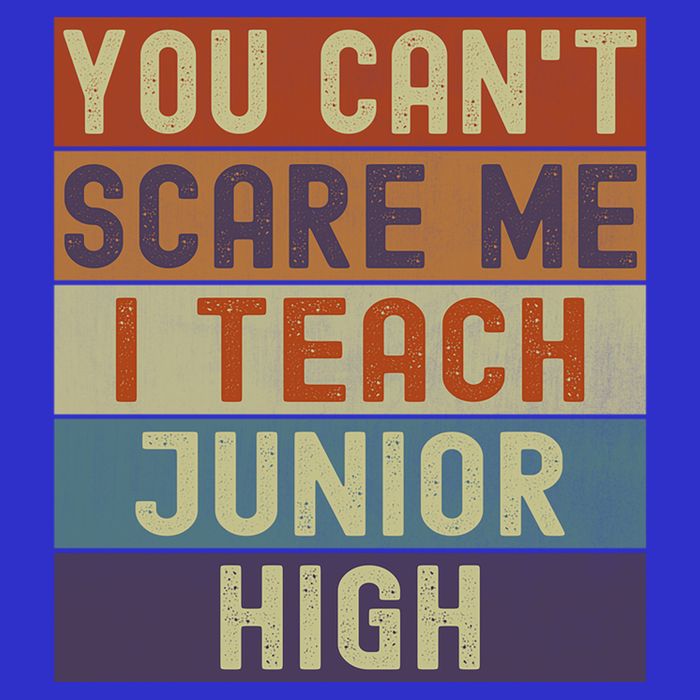 Junior High Teacher You Cant Scare Me I Teach Vintage Retro Meaningful Gift Long Sleeve Shirt