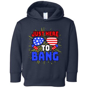 Just Here To Bang Funny 4th Of July USA Merica America Toddler Hoodie