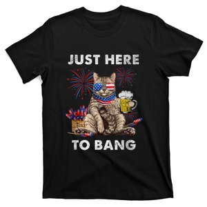 Just Here To Bang USA Flag Funny Beer 4th Of July Cat Lover T-Shirt