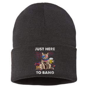 Just Here To Bang USA Flag Funny Beer 4th Of July Cat Lover Sustainable Knit Beanie