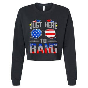 Just Here To Bang 4th Of July Funny Fireworks Sunglasses Cropped Pullover Crew