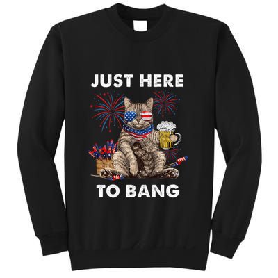 Just Here To Bang Usa Flag Funny Beer 4th Of July Cat Lover Sweatshirt