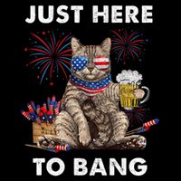 Just Here To Bang Usa Flag Funny Beer 4th Of July Cat Lover Sustainable Bucket Hat