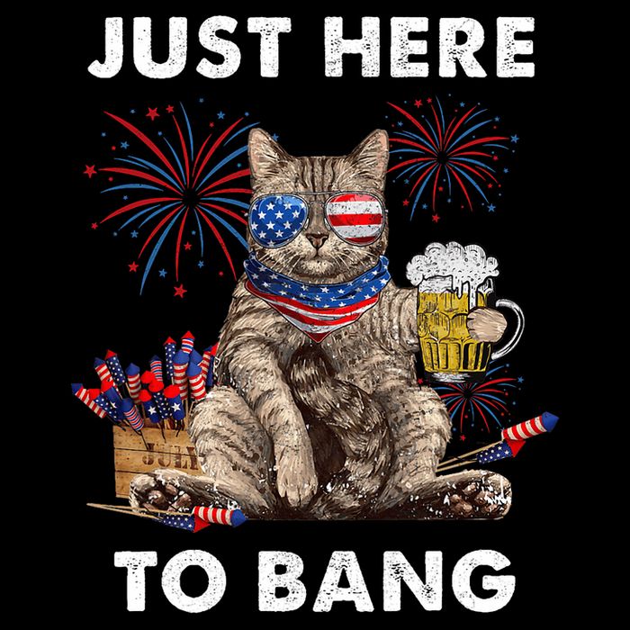 Just Here To Bang Usa Flag Funny Beer 4th Of July Cat Lover Sustainable Bucket Hat
