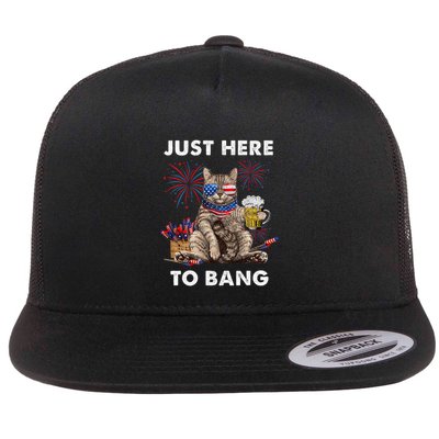 Just Here To Bang Usa Flag Funny Beer 4th Of July Cat Lover Flatbill Hat