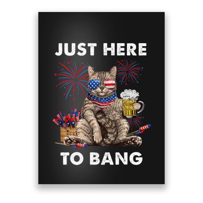 Just Here To Bang Usa Flag Funny Beer 4th Of July Cat Lover Poster