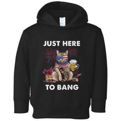 Just Here To Bang Usa Flag Funny Beer 4th Of July Cat Lover Toddler Hoodie