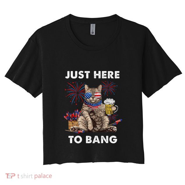 Just Here To Bang Usa Flag Funny Beer 4th Of July Cat Lover Crop Top