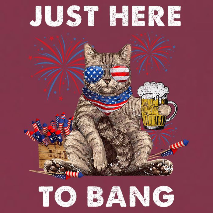 Just Here To Bang Usa Flag Funny Beer 4th Of July Cat Lover 16oz Travel Tumbler