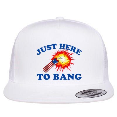 Just Here To Bang Funny Exploding Bang Saying Flat Bill Trucker Hat