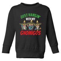 Just Hanging With My Gnomigos Mexican Pride Cinco De Mayo Toddler Sweatshirt