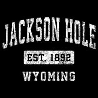 Jackson Hole Wyoming Wy Vintage Established Sports Backpack