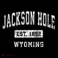 Jackson Hole Wyoming Wy Vintage Established Sports Kids T-Shirt