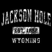 Jackson Hole Wyoming WY Vintage Established Sports Design Toddler Hoodie