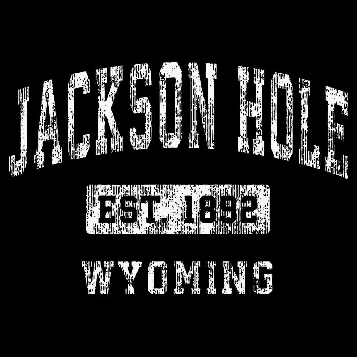 Jackson Hole Wyoming WY Vintage Established Sports Design Toddler Hoodie