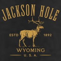 Jackson Hole Wyoming USA Estd 1892 with Elk Souvenir Design Adult Drive Performance Visor