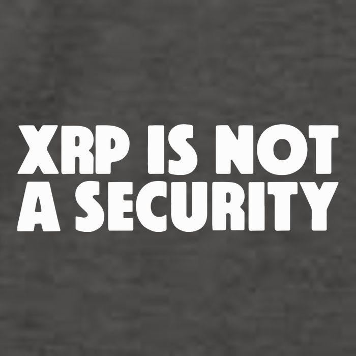 Jeremy Hogan Xrp Is Not A Security Vector Backpack