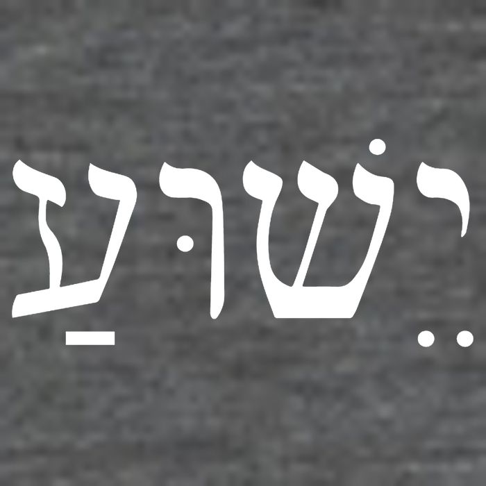 Jesus In Hebrew Poster
