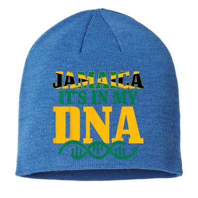 Jamaica Its In My DNA Jamaican Flag Pride Sustainable Beanie