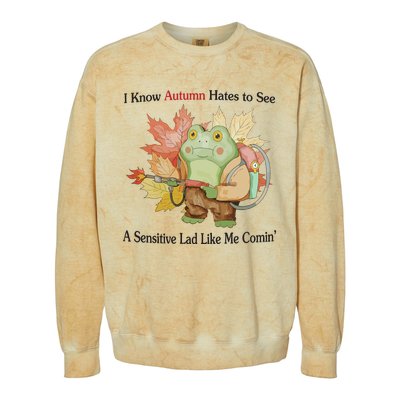 Jmcgg I Know Autumn Hates To See A Sensitive Lad Like Me Comin Colorblast Crewneck Sweatshirt