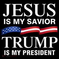 Jesus Is My Savior Trump Is My President Premium T-Shirt