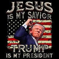 Jesus Is My Savior Trump Is My President American Flag 16 in Basic Backpack