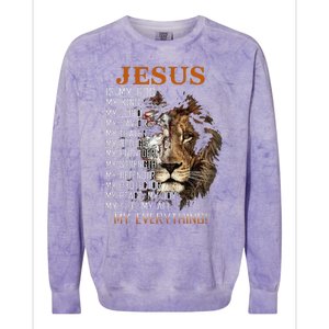 Jesus Is My God King Lord Savior Healer RefugeProvider Colorblast Crewneck Sweatshirt