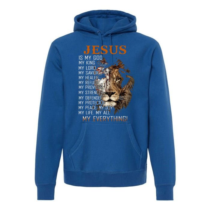 Jesus Is My God King Lord Savior Healer RefugeProvider Premium Hoodie