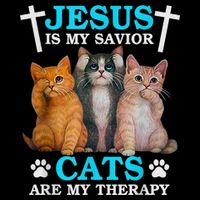 Jesus Is My Savior Cats Are My Therapy Christian Funny Cat Flexfit Unipanel Trucker Cap