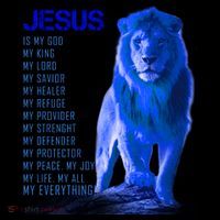Jesus Is My Everything Quote Lion Christianity 16 in Basic Backpack