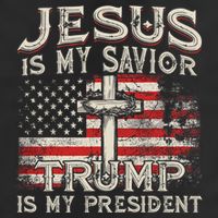 Jesus Is My Savior Trump Is My President American Flag Adult Drive Performance Visor