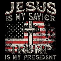 Jesus Is My Savior Trump Is My President American Flag 16 in Basic Backpack