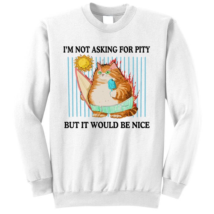 Jmcgg IM Not Asking For Pity But It Would Be Nice Sweatshirt