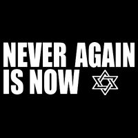 Jewish Israel Pride Am Yisrael Chai Never Again Is Now Cooling Performance Crew T-Shirt