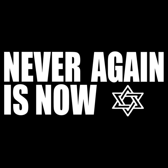 Jewish Israel Pride Am Yisrael Chai Never Again Is Now Cooling Performance Crew T-Shirt