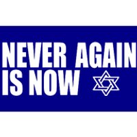 Jewish Israel Pride Am Yisrael Chai Never Again Is Now Bumper Sticker