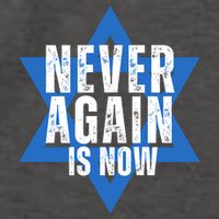 Jewish Israel Pride Am Yisrael Chai Never Again Is Now Vector Backpack