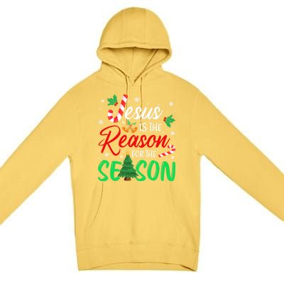 Jesus Is The Reason For The Season Christian Christmas Xmas Cute Gift Premium Pullover Hoodie