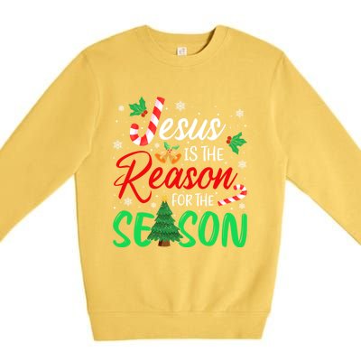 Jesus Is The Reason For The Season Christian Christmas Xmas Cute Gift Premium Crewneck Sweatshirt