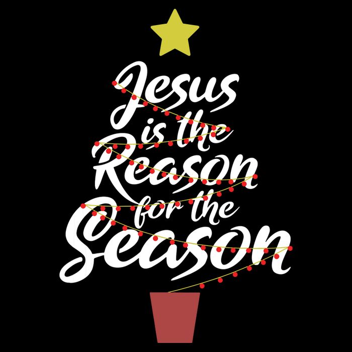 Jesus Is The Reason For The Season Christian Christmas Xmas 16 in Basic Backpack