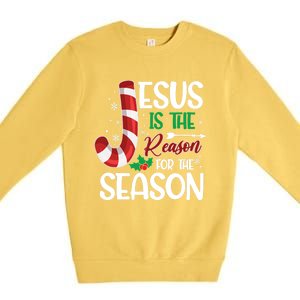 Jesus Is The Reason For The Season Xmas Christian Christmas Gift Premium Crewneck Sweatshirt