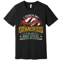 J5R0 I Teach My Grandkids Hit And Steal Retro Baseball Lover Premium T-Shirt