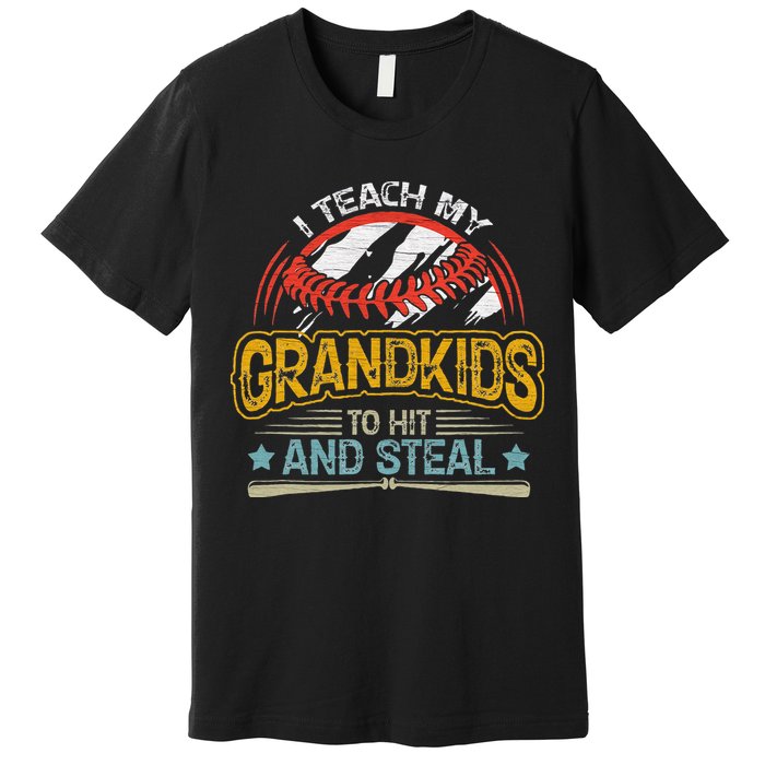 J5R0 I Teach My Grandkids Hit And Steal Retro Baseball Lover Premium T-Shirt