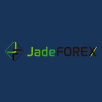 Jadeforex Investment Trader Trading Forex Crypto Assets Fx Infant Baby Jersey Bodysuit