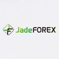 Jadeforex Investment Trader Trading Forex Crypto Assets Fx Garment-Dyed Sweatshirt