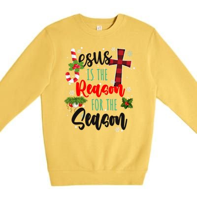 Jesus Is The Reason For The Season Holiday Christmas Premium Crewneck Sweatshirt