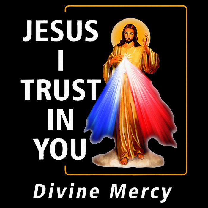 Jesus I Trust In You Divine Mercy Catholic 16 in Basic Backpack